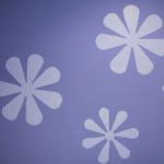 Intro to the College Application Process